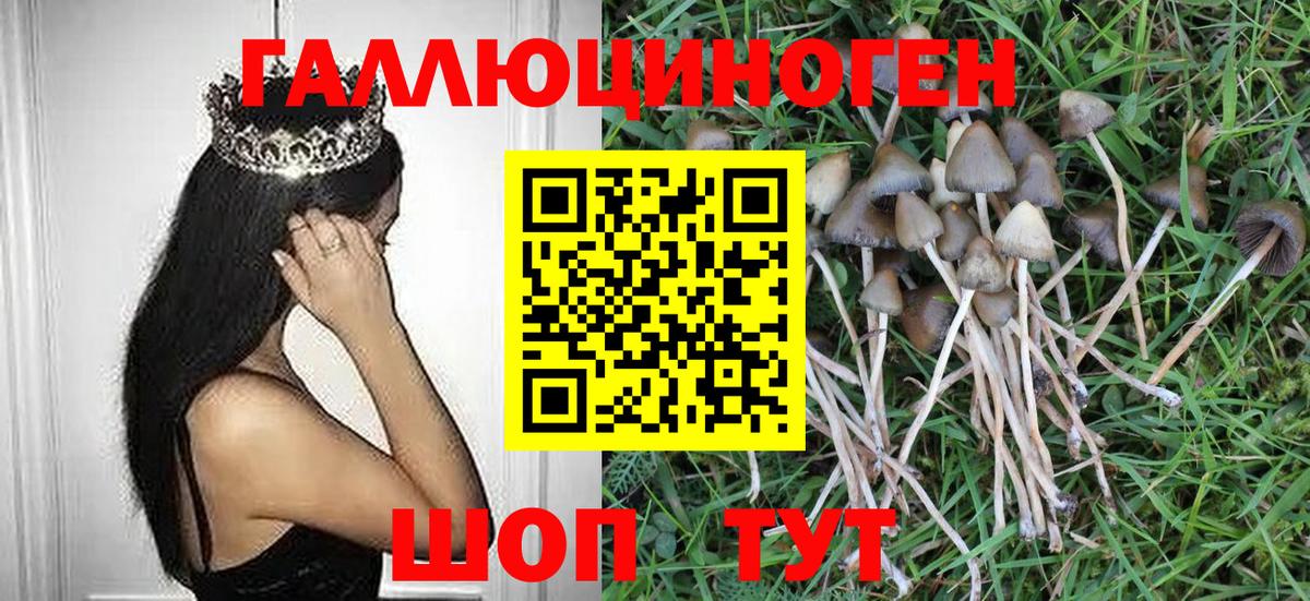Донецк  Псилоцибиновые грибы GOLDEN TEACHER  Вход с VPN 